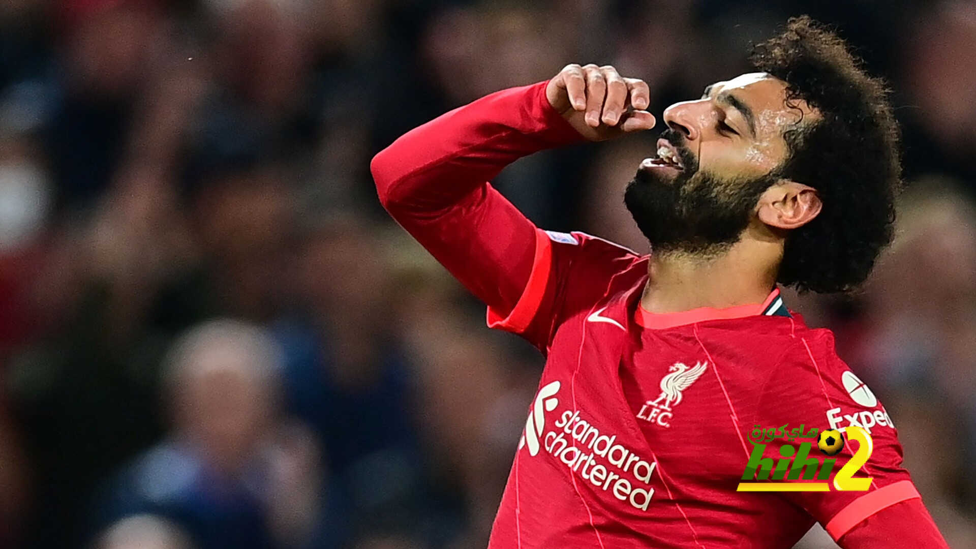 فيديو: جميع أهداف الملك المصري محمد صلاح بشباك وست هام
