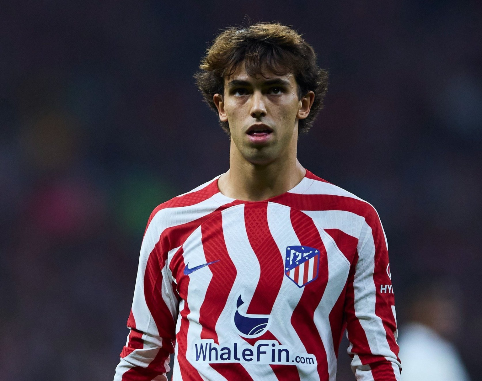 Жуан фелиш. Joao Felix.