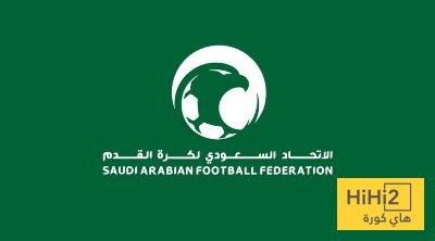 مطالبات بتشديد العقوبات ورفع الغرامة على أندية روشن
